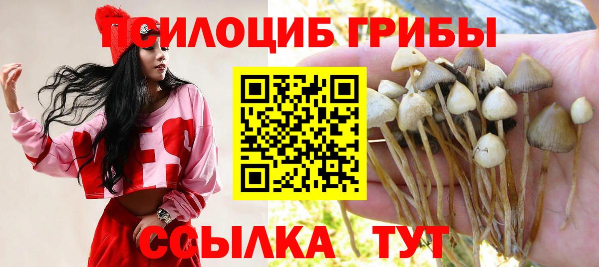 Псилоцибиновые грибы Cubensis  Вход с VPN  как найти наркотики  Луга 