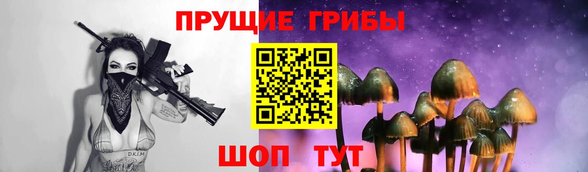 Галлюциногенные грибы MAGIC MUSHROOMS Луга